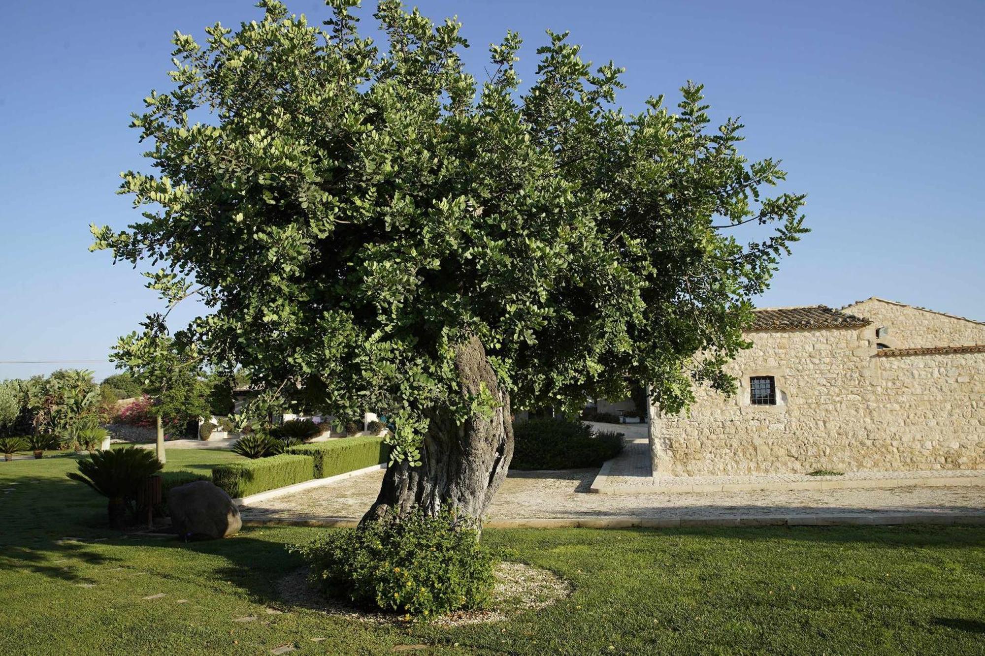 Torre Dantona Country Suites Pozzallo Exterior photo